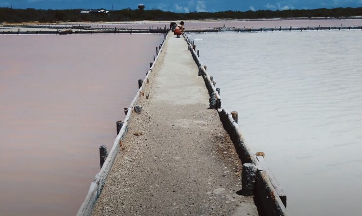 Cabo Rojo Pink Salt Lake Is Swimming Allowed