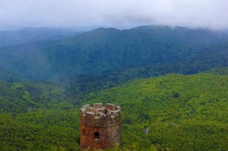 Can I go Hiking in El Yunque Forest
